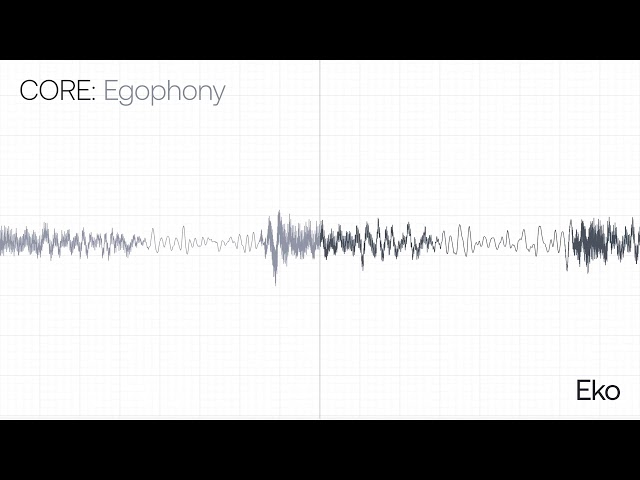 Egophony Recording & Waveform | Eko Health