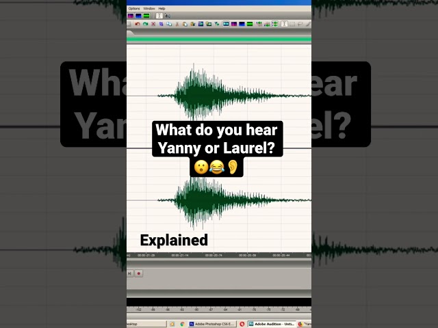 What do you hear Yanny or Laurel ?👂