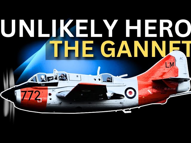 Fairey Gannet: Unlikely Hero