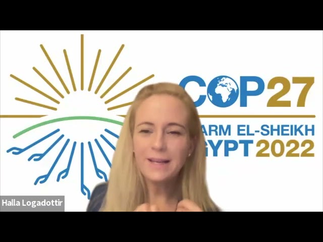 Reactions from COP27: Negotiations Update