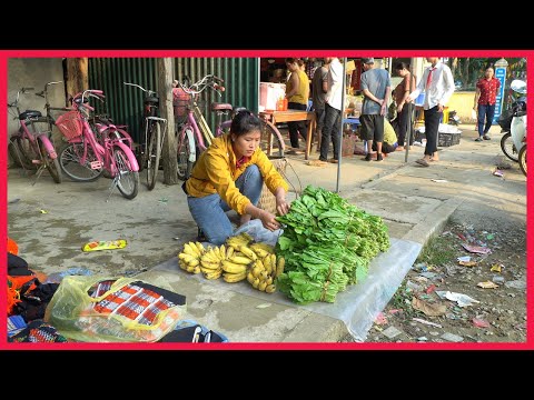FULL VIDEO: Harvest mustard greens and bananas to go to the market to sell. Building farm, Free Life