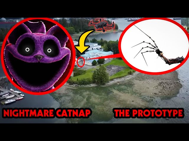DRONE CATCHES CATNAP BOSS VS THE PROTOTYPE | POPPY PLAYTIME 3 IN REAL LIFE AT POPPY PLAYTIME ISLAND