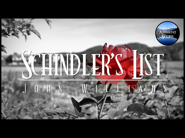 Schindler's List | Calm Continuous Mix