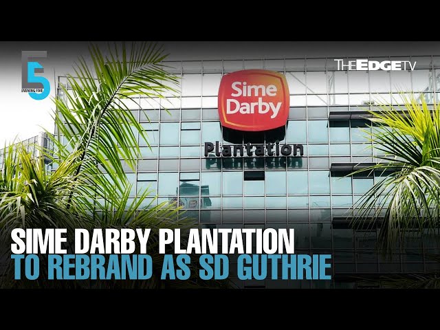 EVENING 5: Sime Darby Plantation to rebrand as SD Guthrie
