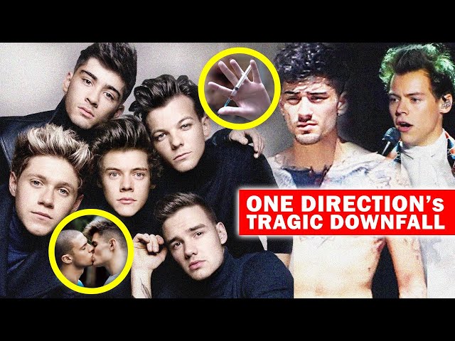We NOW Know Why ONE DIRECTION Really Broke Up