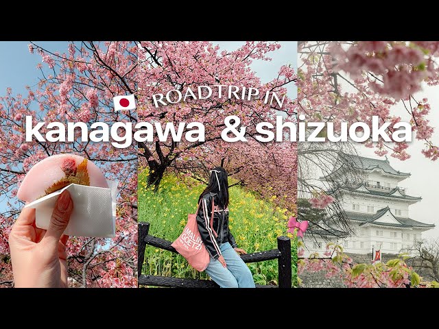 5 days in kanagawa and shizuoka (2 hrs from tokyo!) 🌸