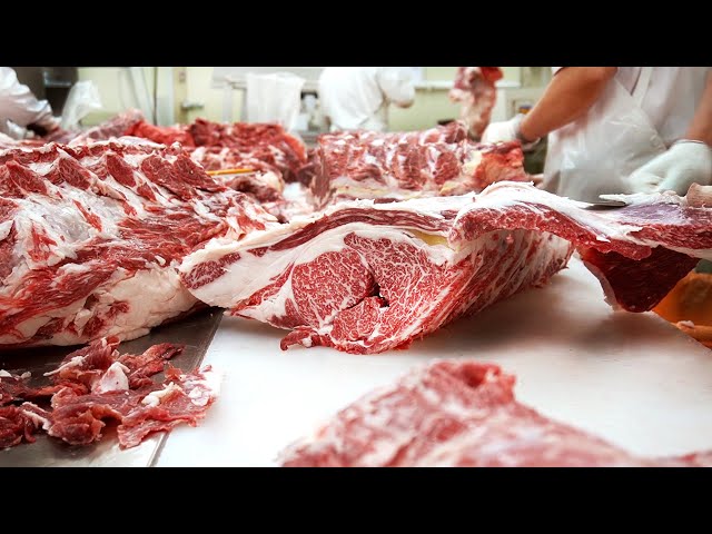 HOW TO BUTCHER A COW OF KOREAN BEFF / How to debone beef from an expert / Educational study