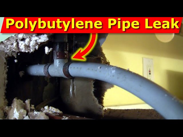 How Polybutylene Piping (Grey Pipes) Caused Plumbing Leaks, Mold Inside Wall