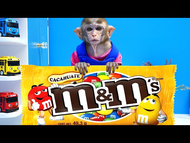 Monkey Baby Ben Ben Goes to Buy Giant M&M Candy and Eats Ice Cream with Puppy in the Garden