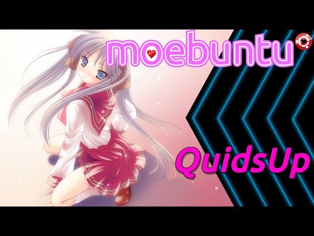 Moebuntu Customised Desktop Environment Review
