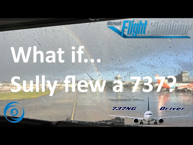 What if... Sully flew a 737 on that January day in 2009 | Real 737 Pilot