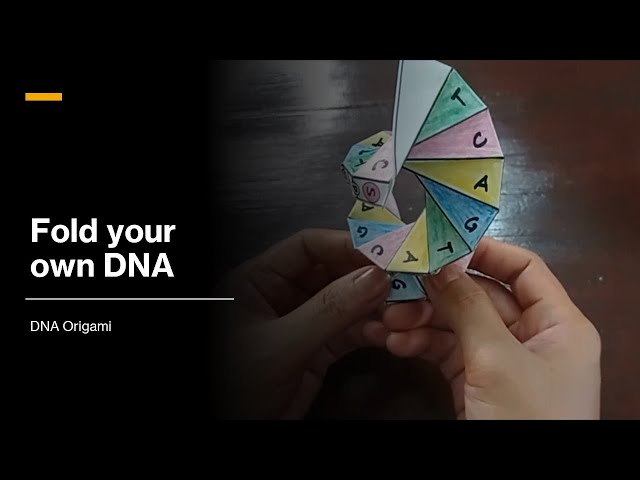 Fold your own DNA (DNA Origami)
