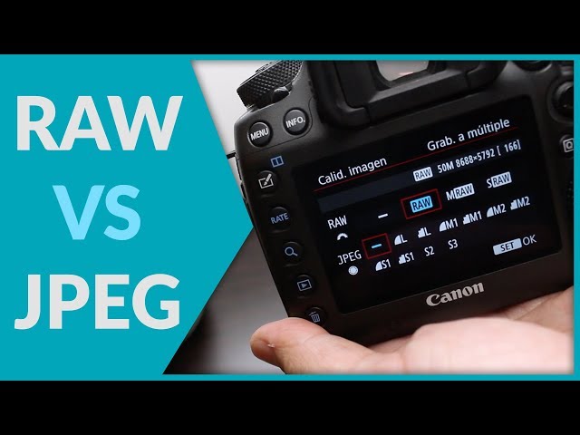 RAW vs JPEG | Which to choose