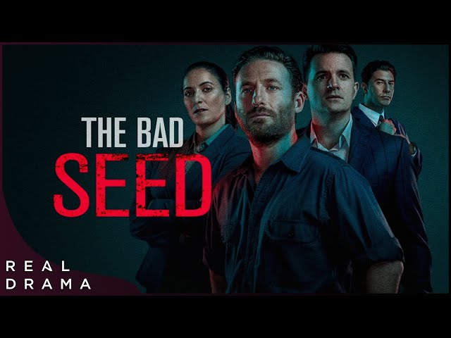 The Bad Seed S1E1 | Crime Series Based On Chartlotte Grimshaw Novels (2019) | Real Drama