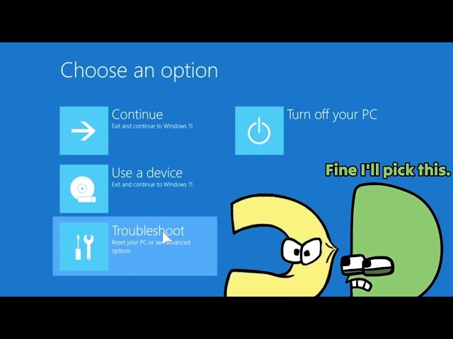 Windows 11 killscreen but C & D want to see that