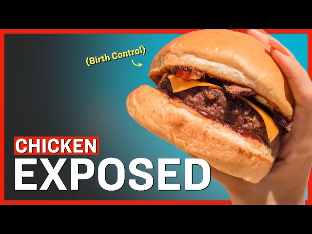 Contraceptive Drug Found in Fast Food