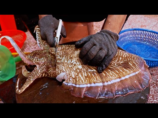Amazing！Cutting Huge Cuttlefish at Taiwanese Seafood Market/驚人的港口巨大花枝, 墨魚切割技-台灣海鮮-Taiwanese Seafood