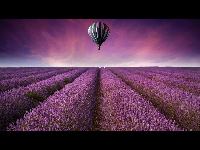 Tangerine Dream-The Purple Rooms