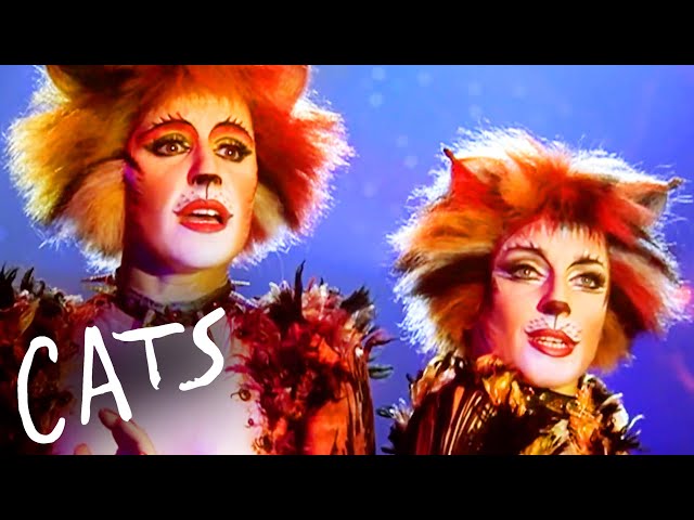 Most Enchanting Songs From Cats