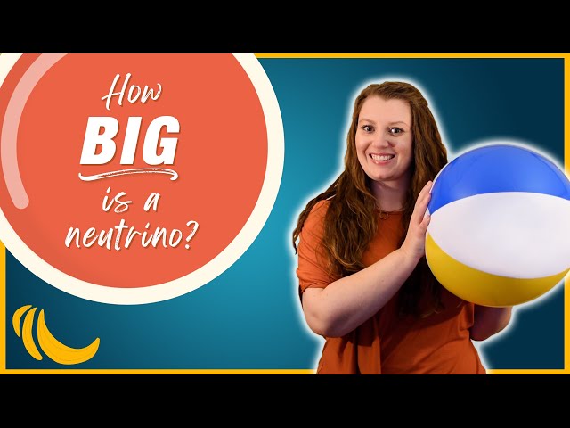 How big is a neutrino? | Even Bananas 06