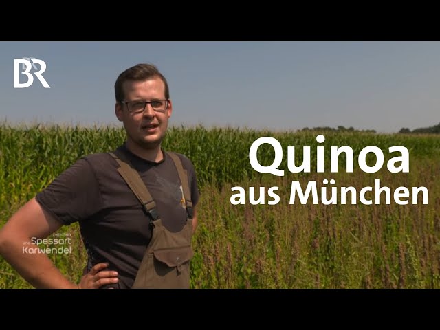 Quinoa aus München: Die letzten Bauern in der Stadt | Zwischen Spessart und Karwendel | BR