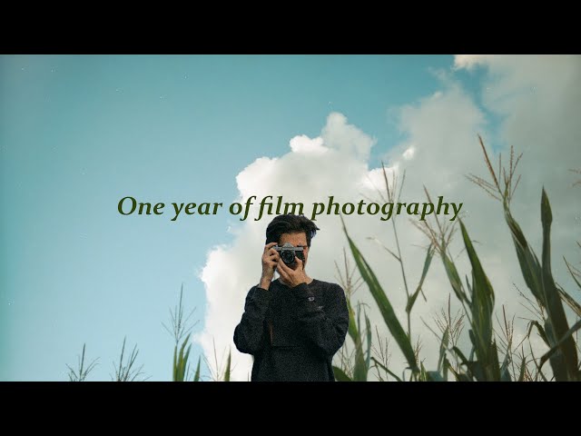 One year of film photography.
