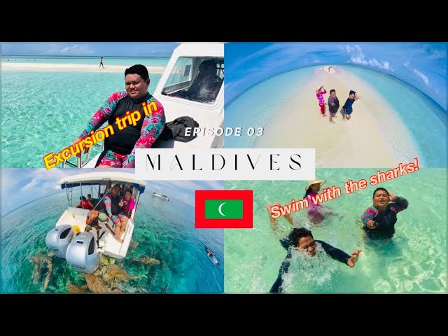 Swimming with Nurse Sharks in Maldives! + Sting Ray Feeding and Sand Bank Visit