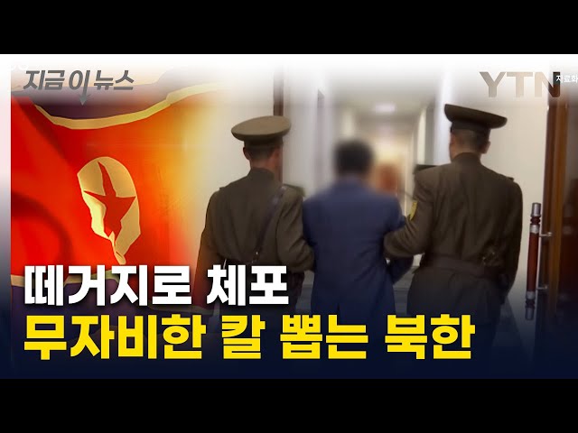 "대규모 체포"...北, 무자비한 피바람 부나 [지금이뉴스] / YTN