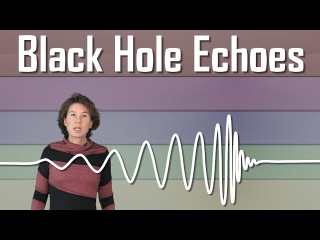 Black Hole Echoes