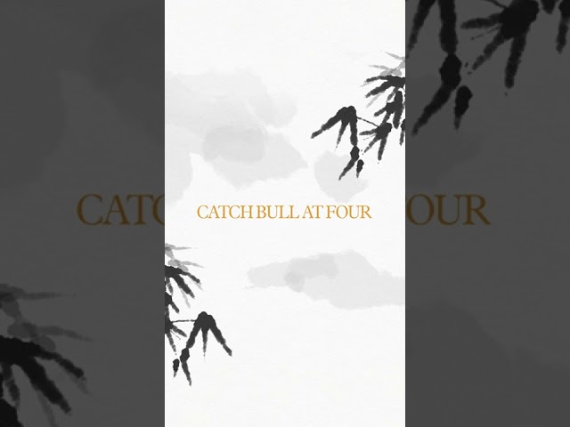 Yusuf / Cat Stevens – Which stage are you at? #shorts #CatchBullAtFour