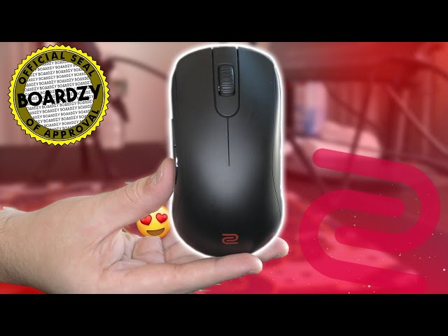 Zowie S2-C ESPORTS Mouse Review! STOP SLEEPING ON ZOWIE