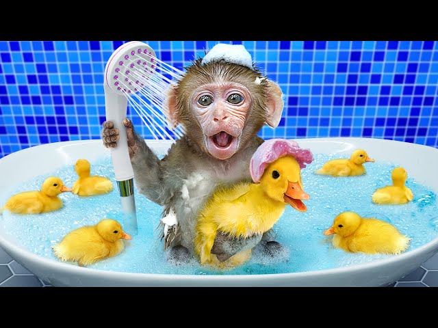 KiKi Monkey bath with Duckling in Bubble Bathtub and eat colorful ice cream | KUDO ANIMAL KIKI