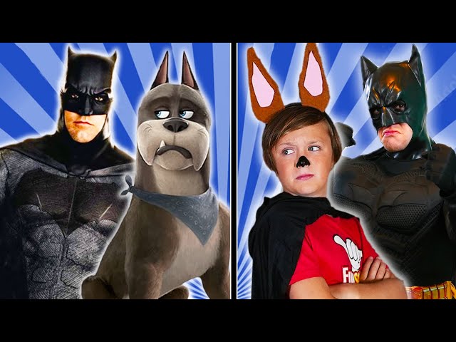 Batman & DC Super Pets VS Mystery Villain!