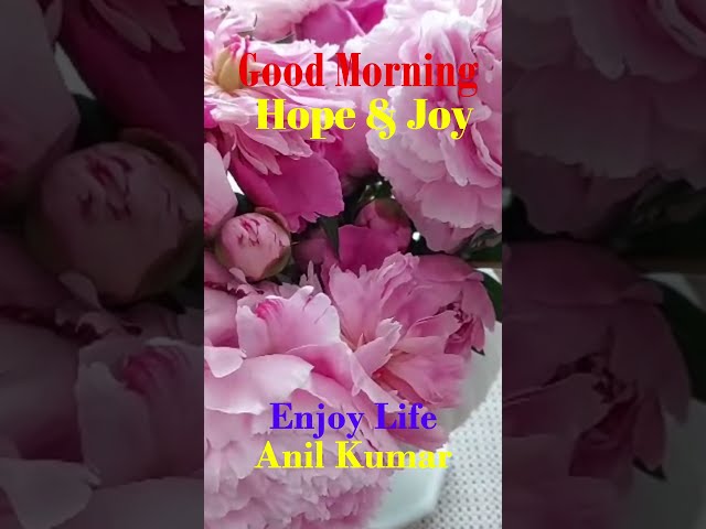 Good Morning Joy and Happiness