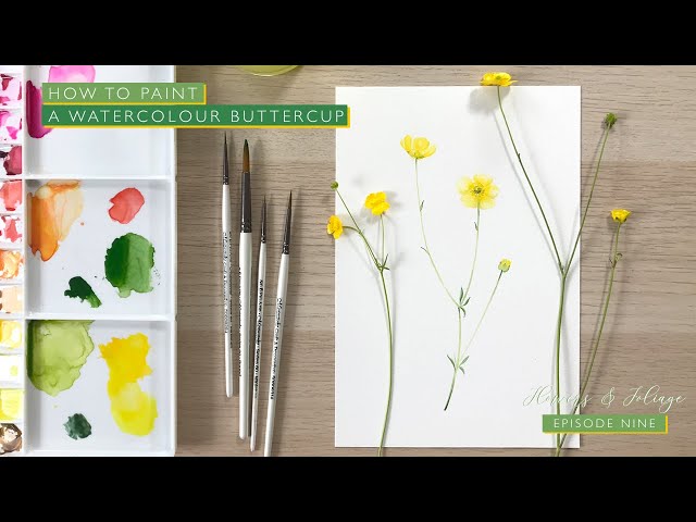 How to Paint a Watercolour Buttercup