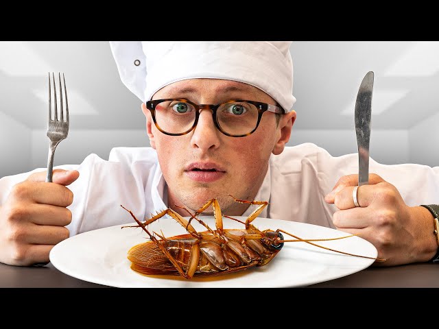 I Tricked Food Critics Into Eating Cockroach