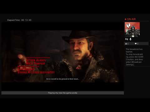 Pothead Plays RDR2 for the First Time (Twitch)