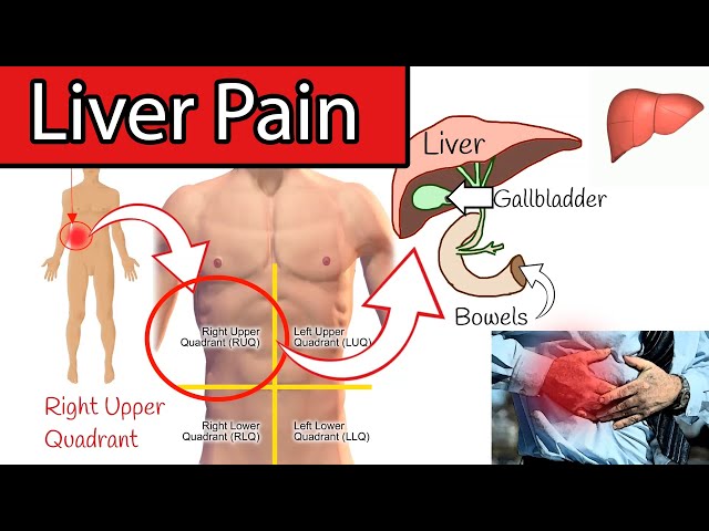 Liver Pain? - Right upper abdominal pain. Right upper quadrant pain