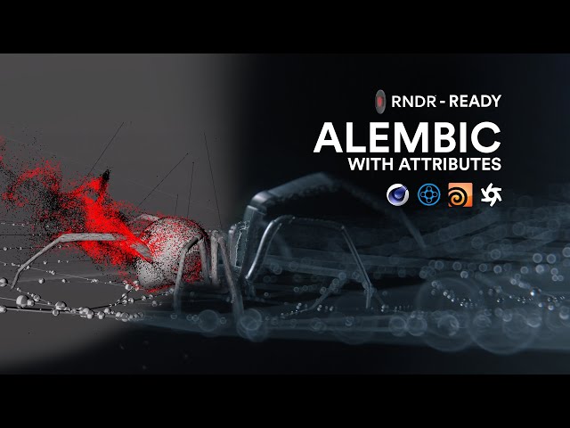 Alembic with Particles, Attributes & Dynamics | RNDR Network