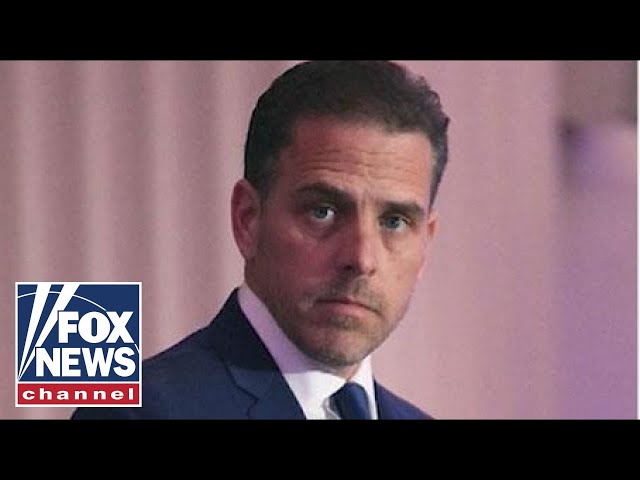 Mainstream media called out over treatment of Hunter Biden story