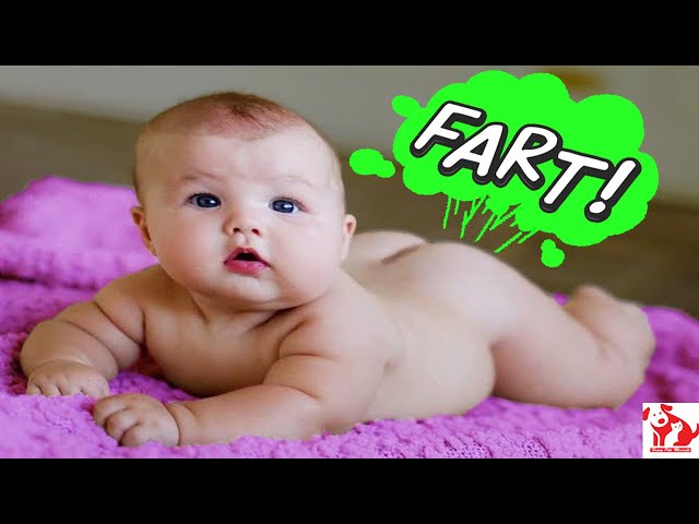 Cute babies are atomic bombs (#farts ) 💨💨💨💩💩💩 - Funny Babies Farting 🤣🤣🤣 - Funny Pets Moments