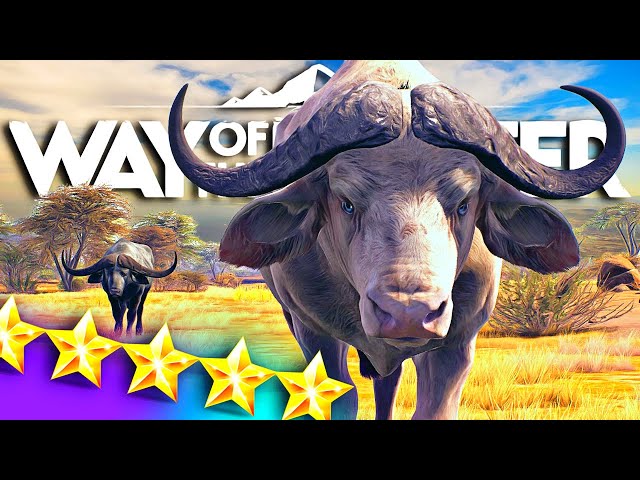 Watching Tikamoon Plains ABSOLUTELY POP OFF with Future Trophies!! | Way of the Hunter Africa