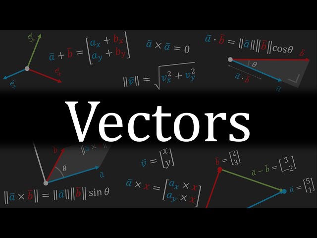 Everything You Need to Know About VECTORS