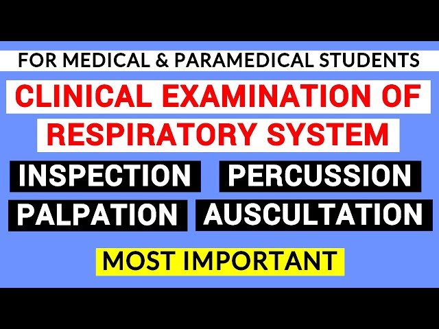 RESPIRATORY SYSTEM EXAMINATION | CLINICAL LAB | PHYSIOLOGY PRACTICALS