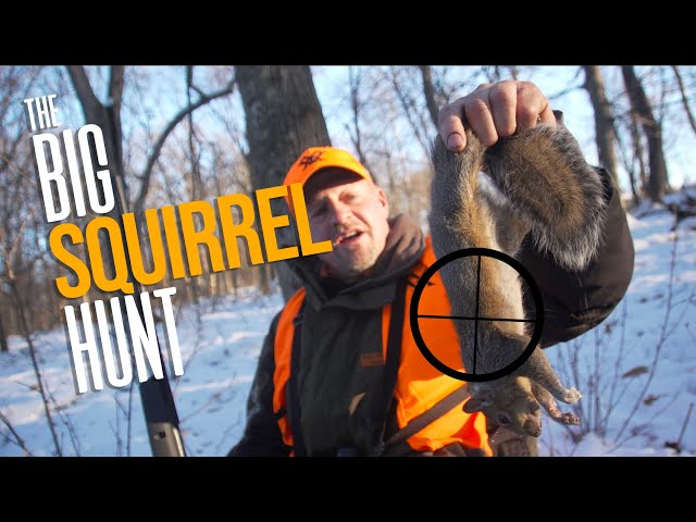 Squirrel Hunt Challenge (Pellet Guns)
