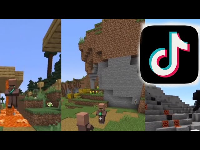 Minecraft Villager Chase Tiktok Compilation