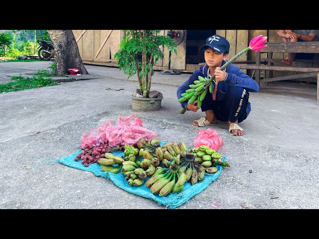 Orphan Boy - Harvest Wild Bananas and Wild Fruits and Sell them for Rice to Eat #diy #orphan
