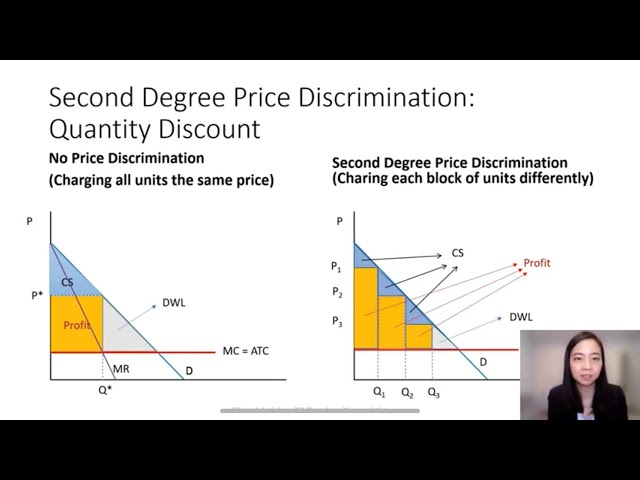 Price Discrimination (2): 2nd Degree Price Discrimination, Principle Level