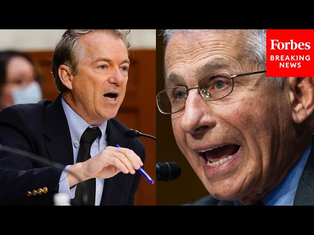 JUST IN: Rand Paul And Dr. Fauci Engage In Another Epic Senate Clash: 'Reprehensible!'