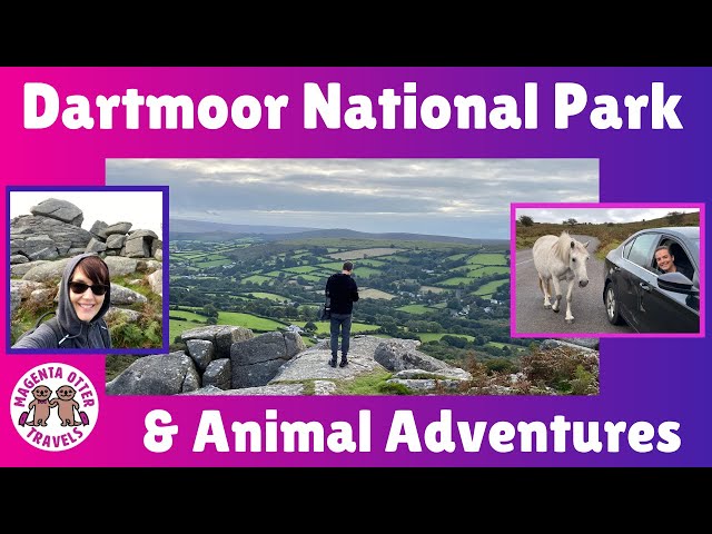 Exploring Dartmoor National Park – Widecombe-in-the-Moor and Bonehill Rocks